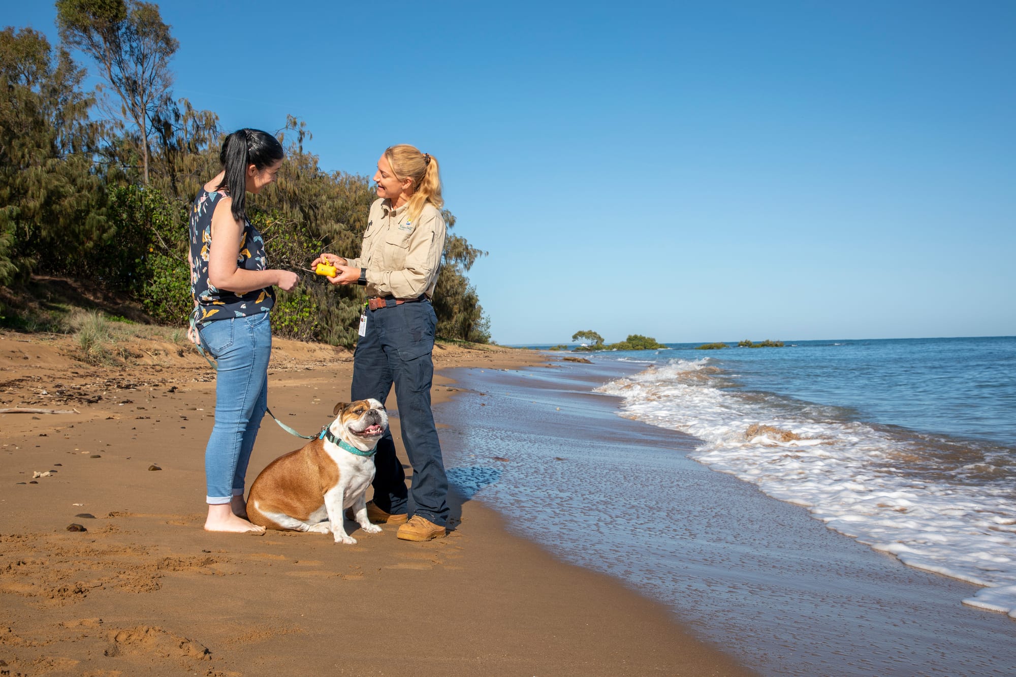Dog registration inspection program has commenced