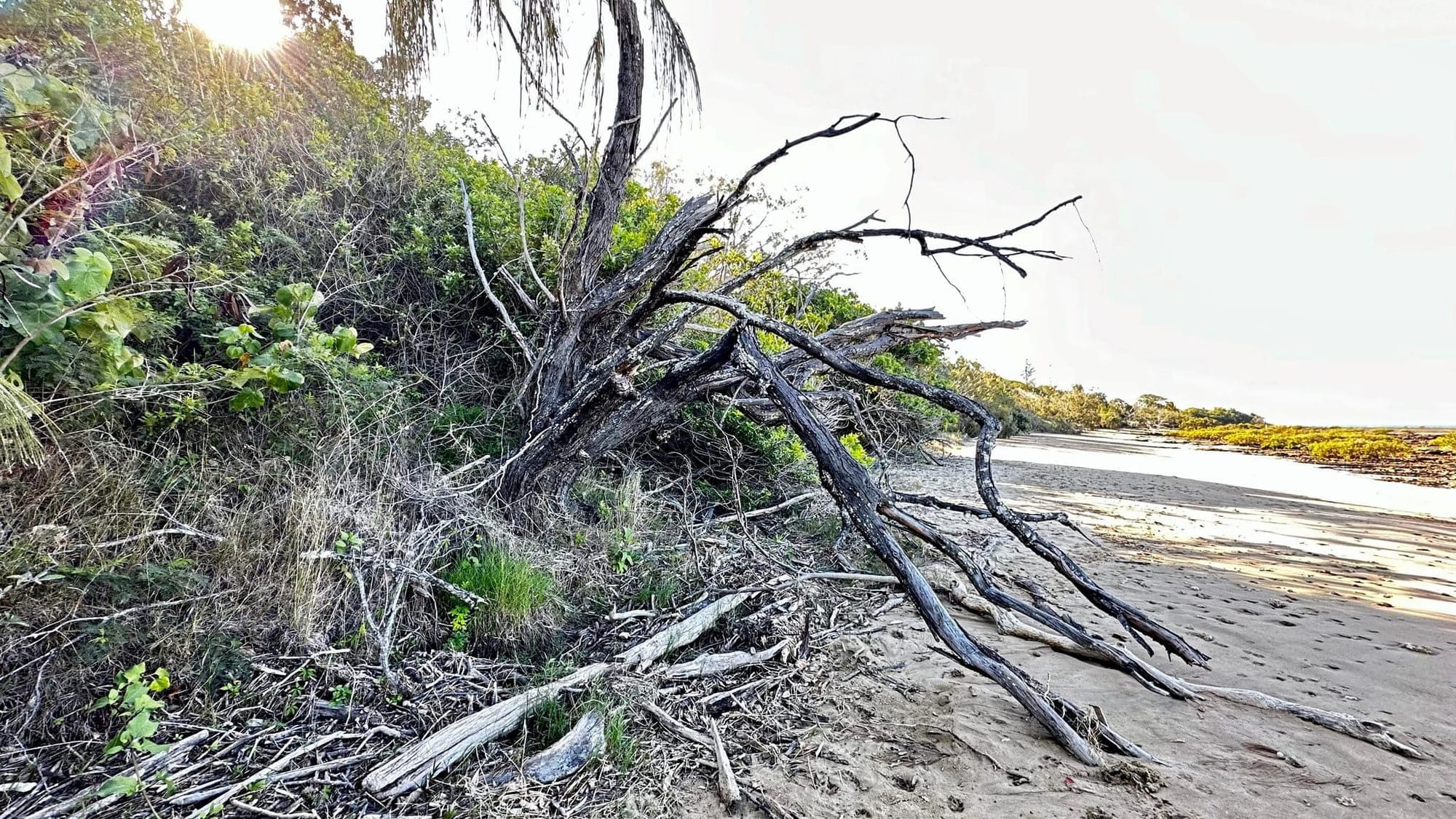 Councilor signals desire to revisit failed Point Vernon Foreshore promises