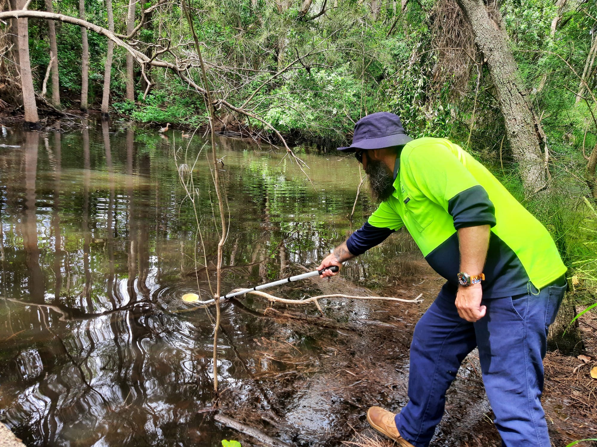 Ross River virus detected in Wide Bay mozzies