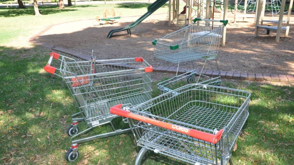 Fraser Coast adopts amended local laws