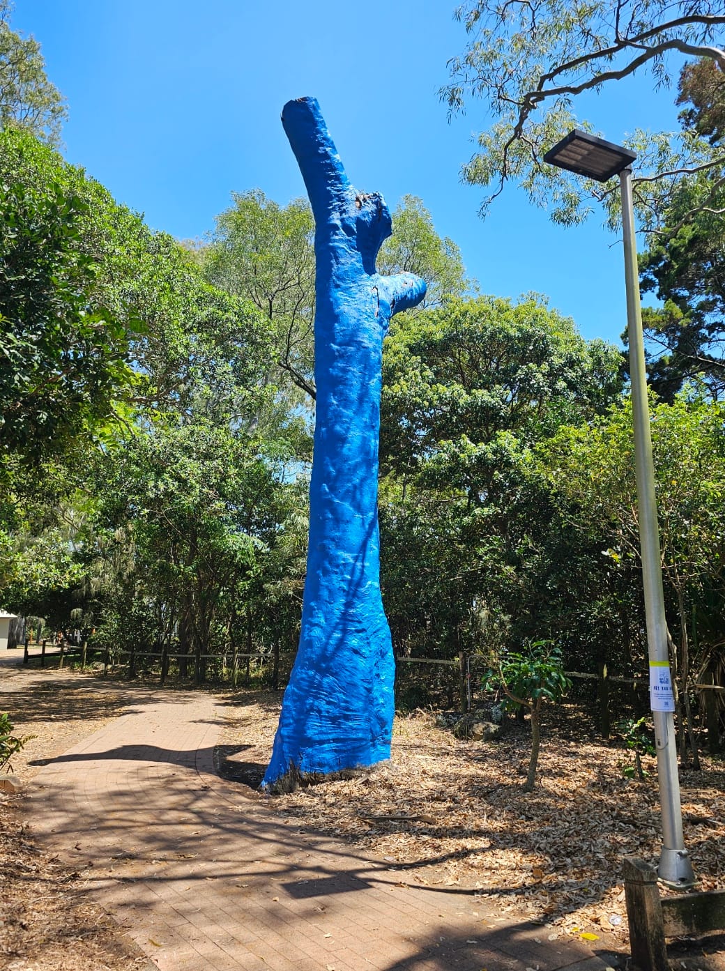 Blue tree blooms to spark mental health conversations