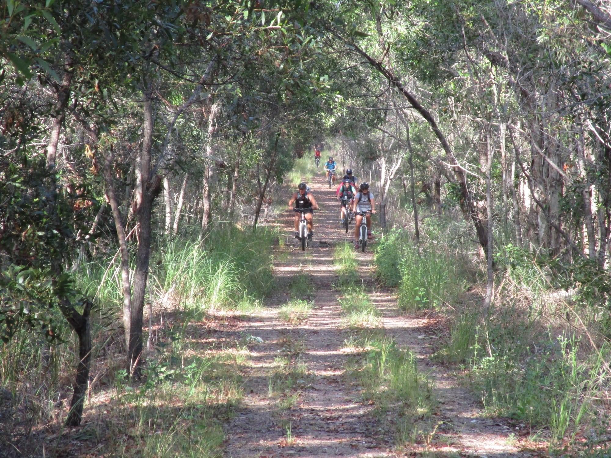 Next steps for Mary to Bay Rail Trail