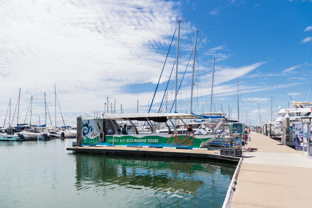 Master plan underway for Urangan Harbour post image