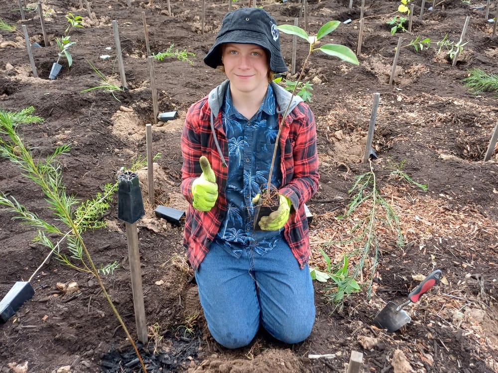 Get involved in greening the Fraser Coast post image