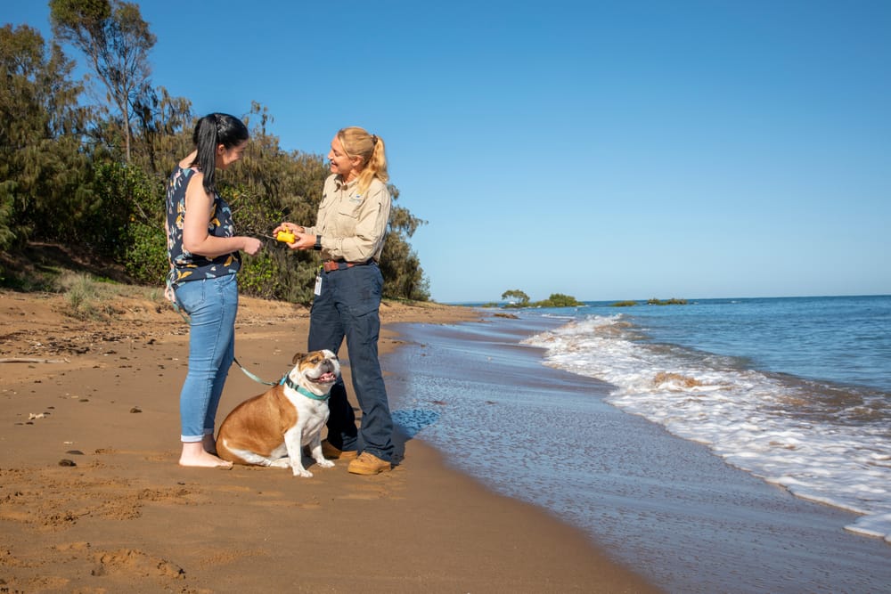 Dog registration inspection program has commenced post image