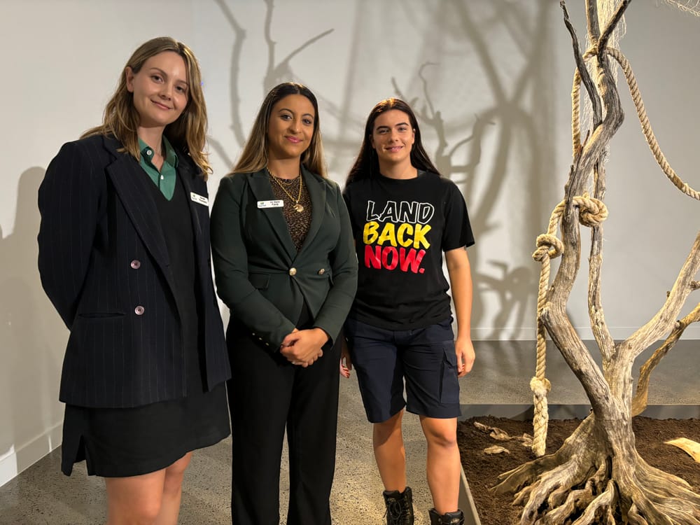 Exhibitions explore three decades of Asian Pacific art post image