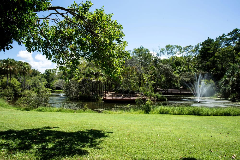 New app takes kids on a Botanic Gardens mission post image