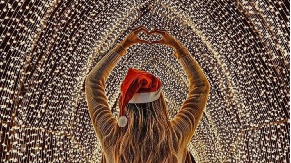 Christmas spectacular to light up Botanic Gardens post image