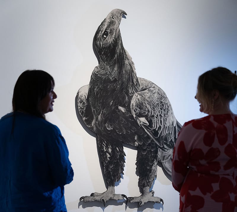 $25,000 up for grabs in Fraser Coast Art Prize post image