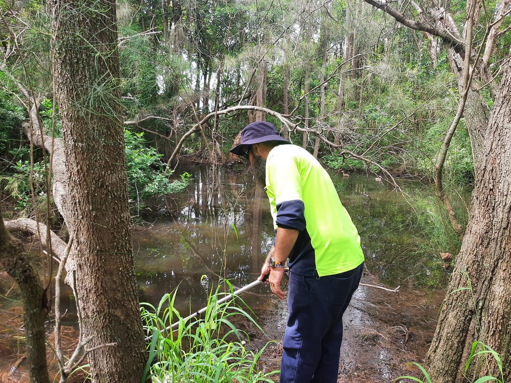 Stay safe from mozzies after hot, wet weather post image