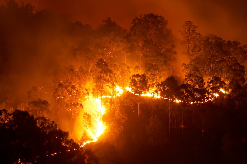 New bushfire plan to help protect local communities post image