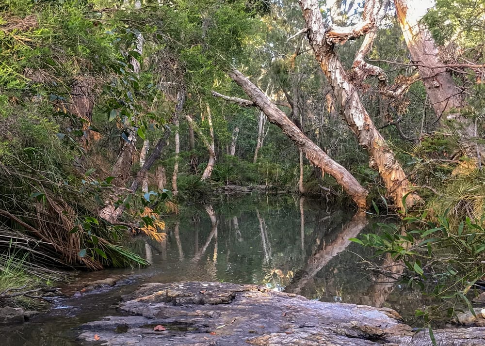 Help shape the local environmental future post image