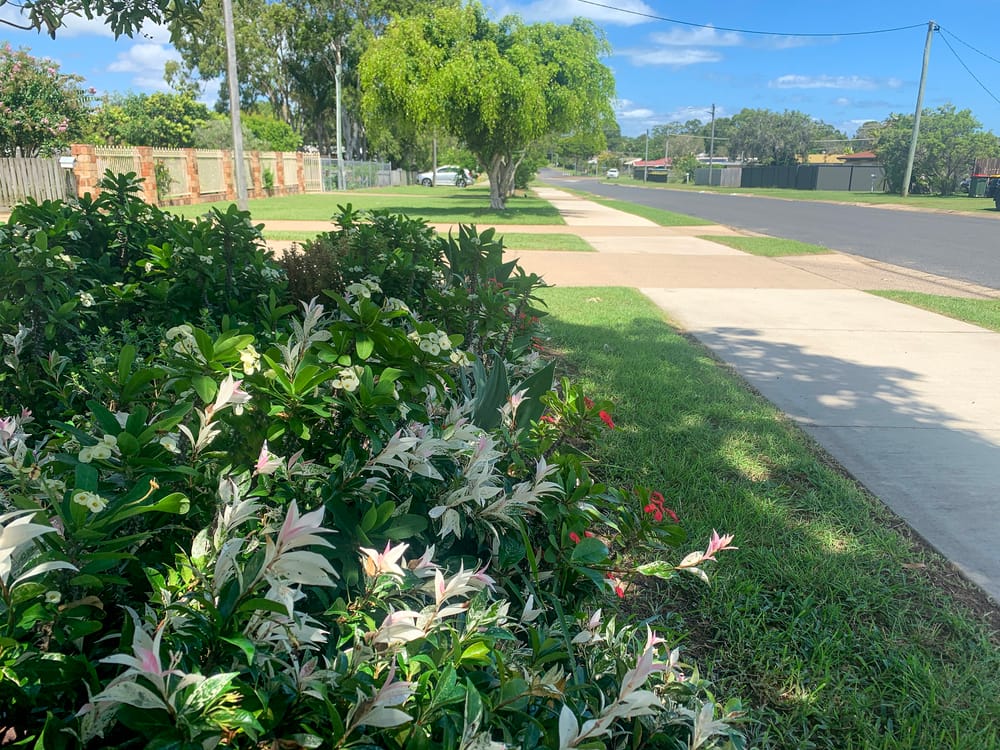 Nature strip beautification given the green light post image