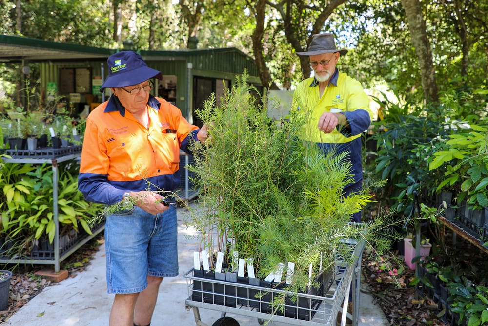 Applications now open for native plant donations post image