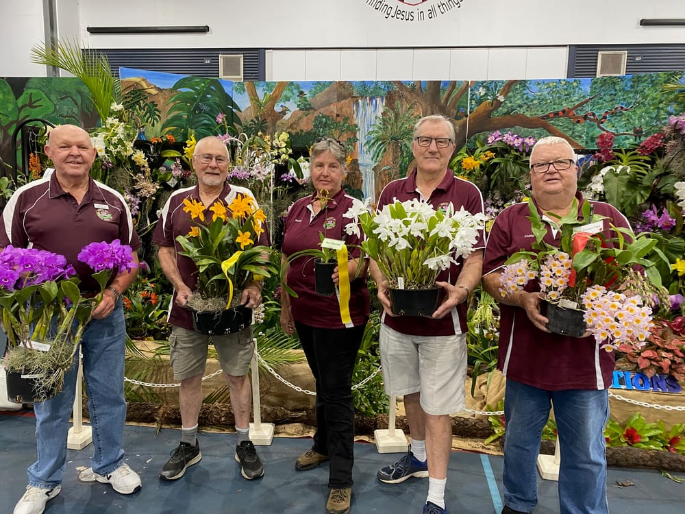 A symphony of colour hits Hervey Bay post image