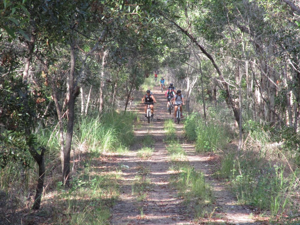 Next steps for Mary to Bay Rail Trail post image