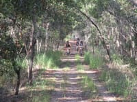 Next steps for Mary to Bay Rail Trail post image
