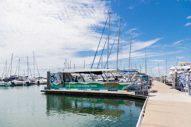 Master plan underway for Urangan Harbour post image