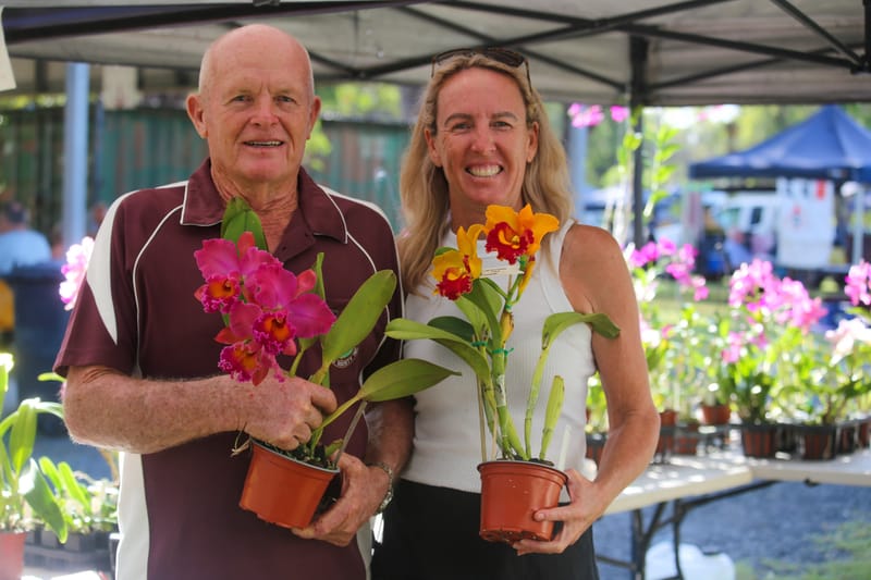 Koala Markets post image