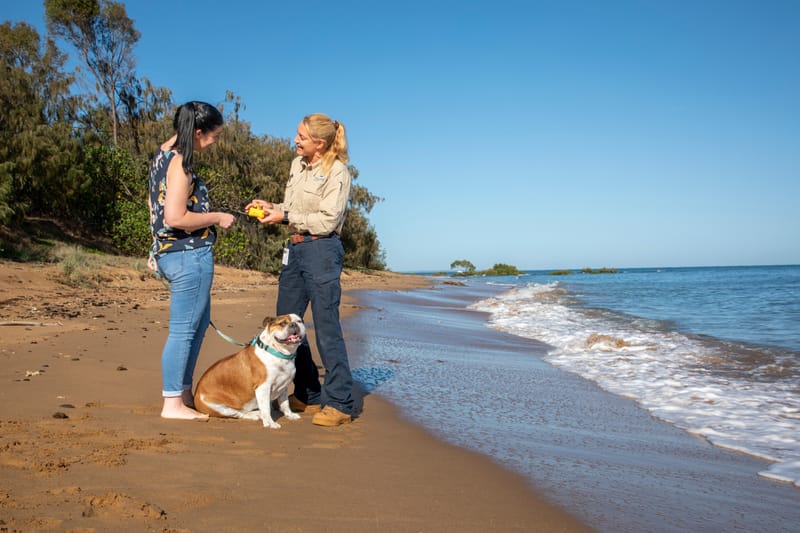 Dog registration inspection program has commenced post image