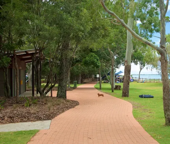 Esplanade homeless crackdown – a symptom of larger discord post image