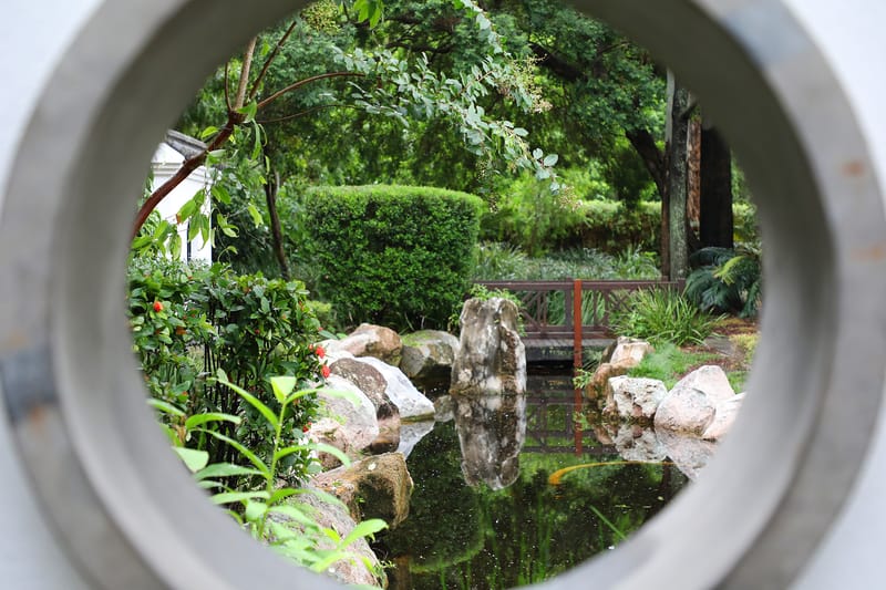 Have a blooming good time at Botanic Gardens Open Day post image