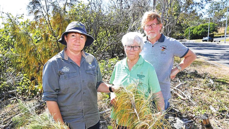 Wildlife Queensland hosts local nature talks again post image