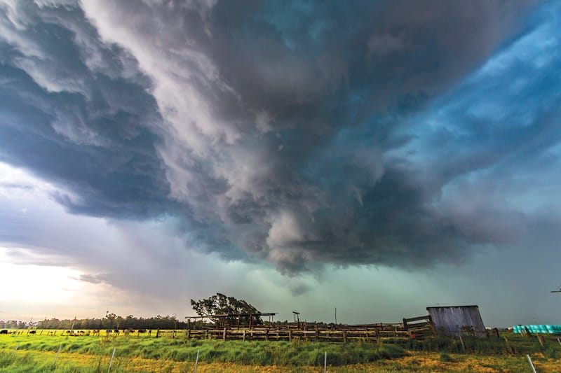 Councils unite to tackle climate challenges post image