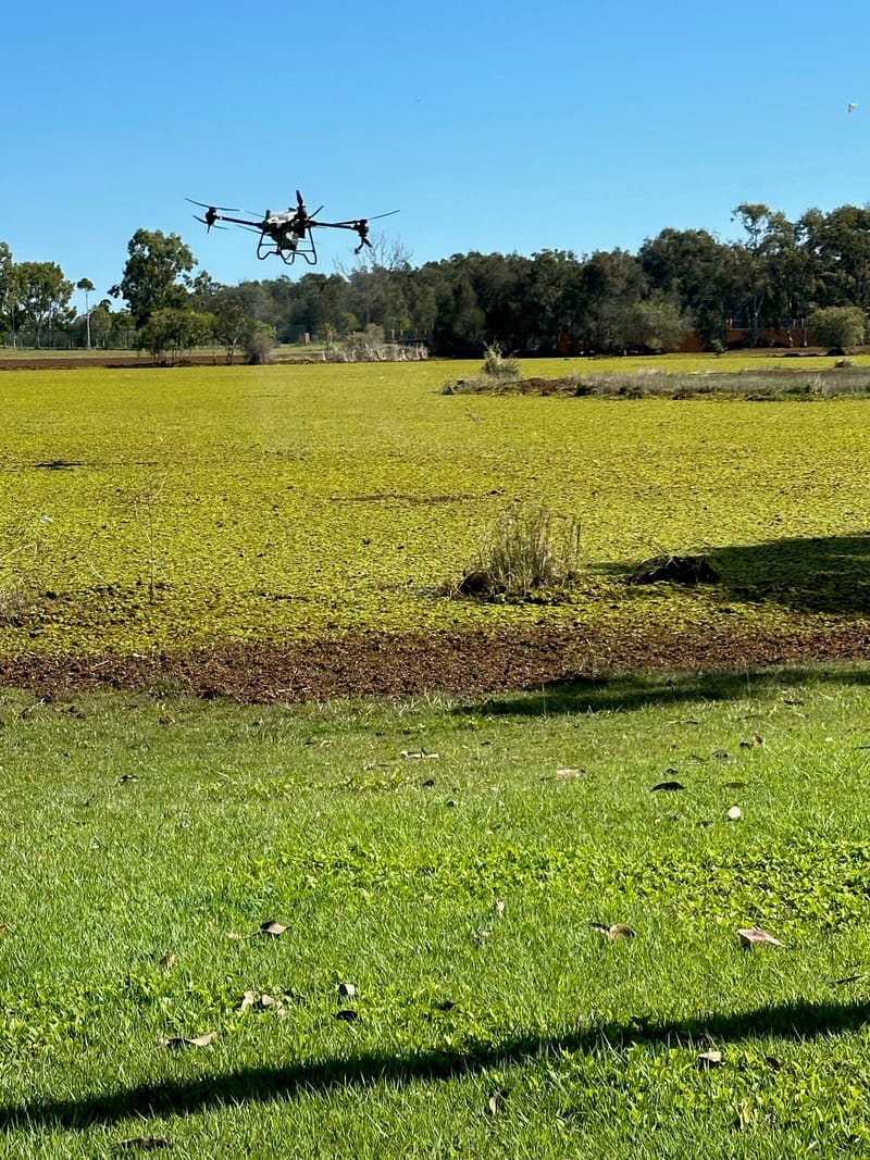 Drone used to fight weeds in Eli Waters waterway post image