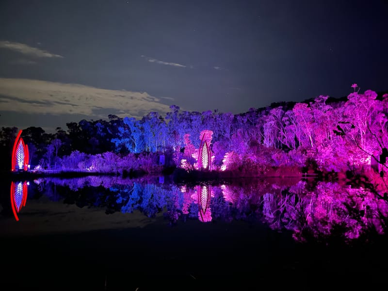 Illumina shines on K'gari (Fraser Island) post image