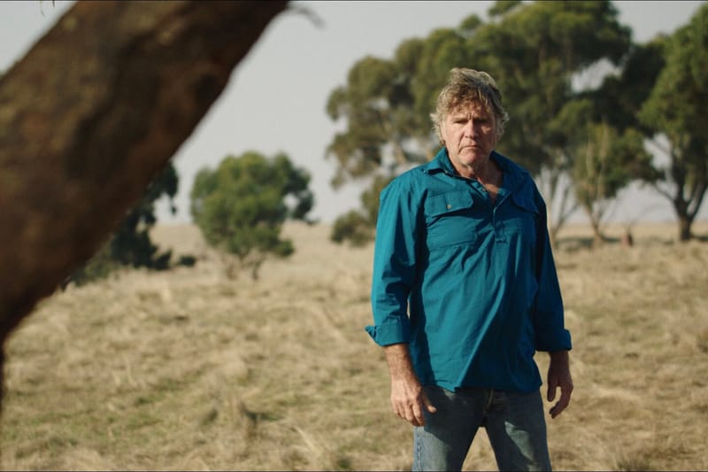 Free movie nights post image