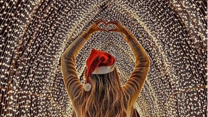 Christmas spectacular to light up Botanic Gardens post image