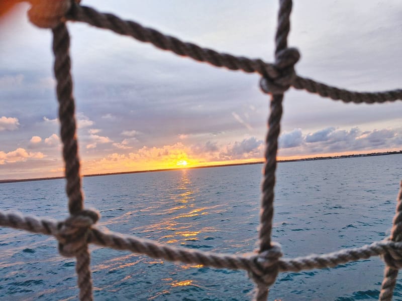 Set sail for love: Hospice Valentine’s cruise post image