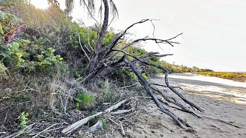 Councilor signals desire to revisit failed Point Vernon Foreshore promises post image