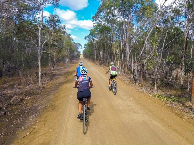 More funding needed to develop local rail trail post image