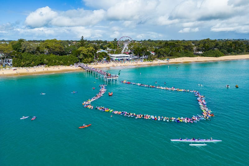Hervey Bay Whale Festival returns in 2025 to celebrate the iconic humpback migration post image