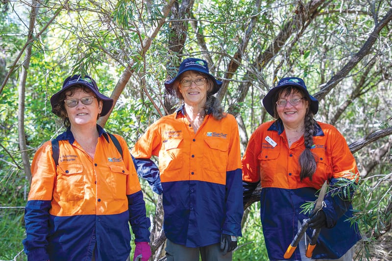 Celebrate Volunteer Week – Join a Bushcare Group post image