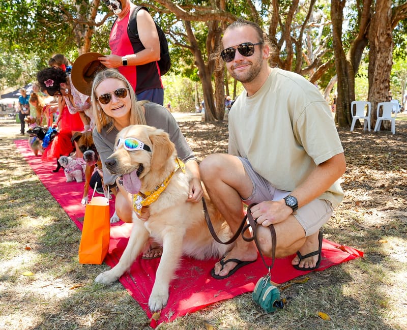 Dog’s Day Out is coming post image