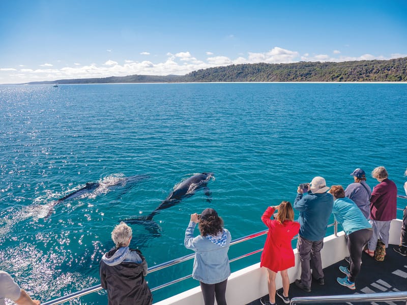 Local tourism operators among Queensland’s best post image